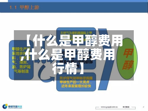 【什么是甲醇费用,什么是甲醇费用行情】-第3张图片
