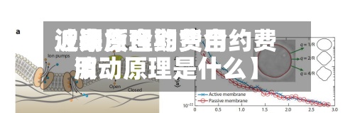 近来【期货合约费用波动原理期货合约费用波动原理是什么】