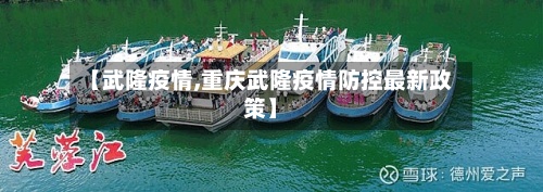 【武隆疫情,重庆武隆疫情防控最新政策】-第2张图片