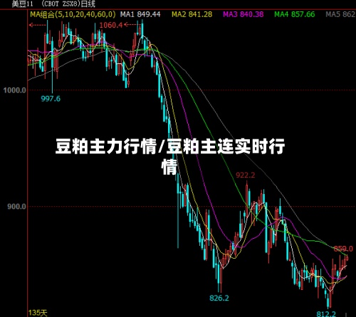 豆粕主力行情/豆粕主连实时行情-第2张图片