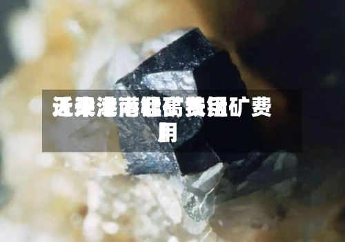 近来【天津港锰矿费用天津港南非高铁锰矿费用】-第3张图片