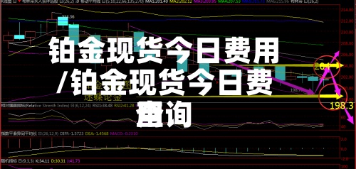 铂金现货今日费用/铂金现货今日费用查询-第2张图片