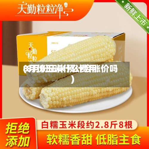 8月份玉米什么费用(8月份玉米预计会涨价吗)-第2张图片