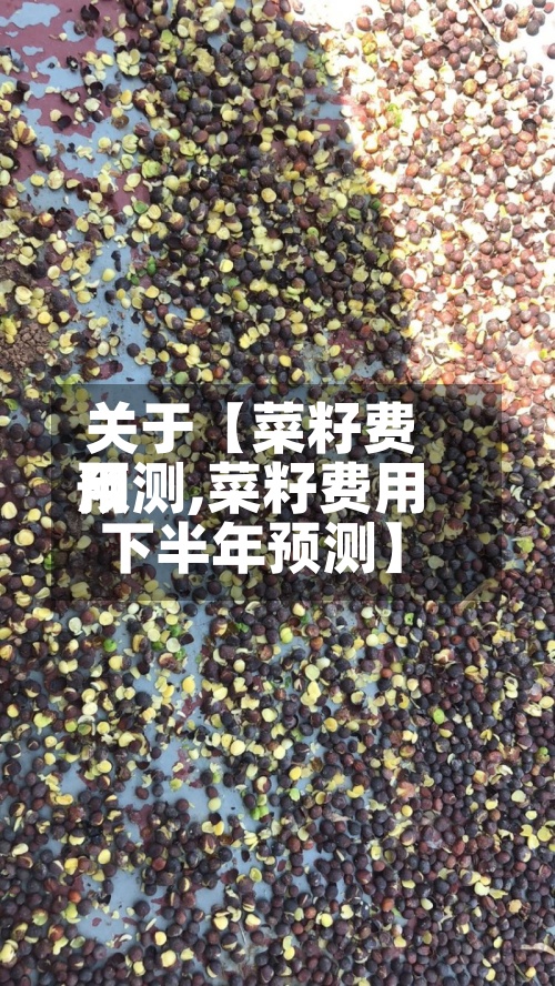 关于【菜籽费用预测,菜籽费用下半年预测】-第2张图片