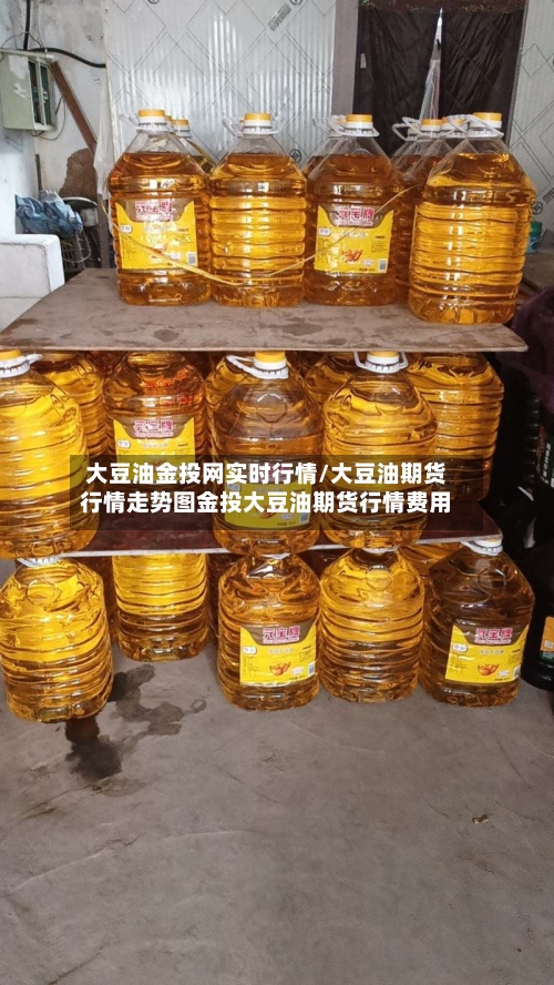 大豆油金投网实时行情/大豆油期货行情走势图金投大豆油期货行情费用
