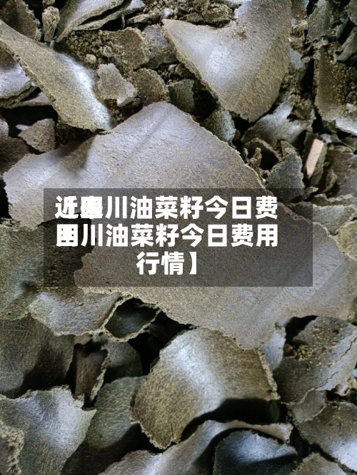 近来【四川油菜籽今日费用四川油菜籽今日费用行情】