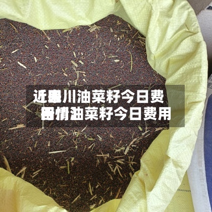 近来【四川油菜籽今日费用四川油菜籽今日费用行情】-第3张图片