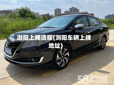 浏阳上牌流程(浏阳车辆上牌地址)-第2张图片