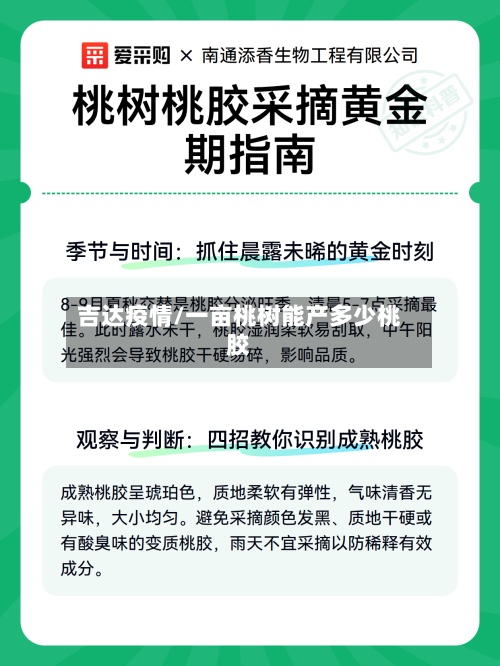 吉达疫情/一亩桃树能产多少桃胶-第2张图片
