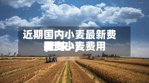 近期国内小麦最新费用(近来国内小麦费用是多少)-第2张图片