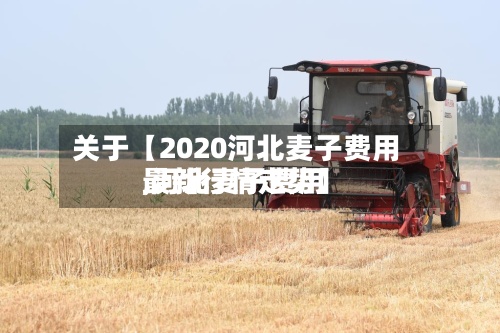 关于【2020河北麦子费用,河北麦子费用最新行情走势】-第2张图片