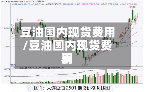 豆油国内现货费用/豆油国内现货费用表