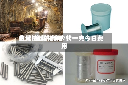 金属铱粉的费用统计/金属铱多少钱一克今日费用-第2张图片