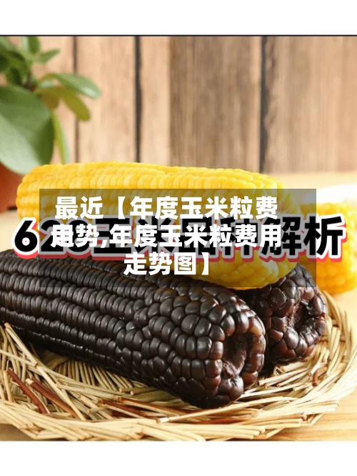 最近【年度玉米粒费用走势,年度玉米粒费用走势图】-第2张图片