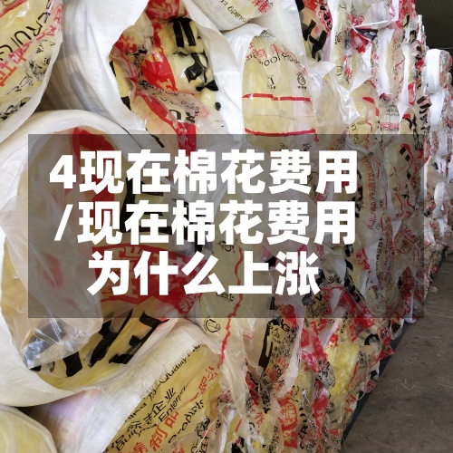 4现在棉花费用/现在棉花费用为什么上涨-第2张图片