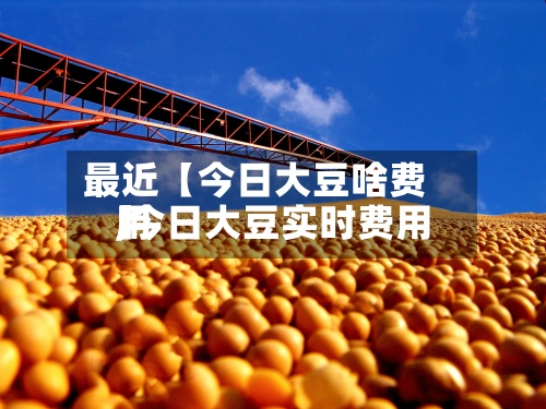 最近【今日大豆啥费用,今日大豆实时费用】