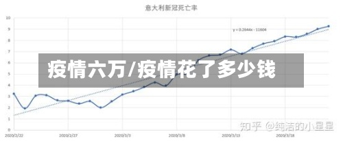 疫情六万/疫情花了多少钱