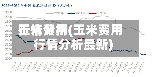玉米费用行情分析(玉米费用行情分析最新)