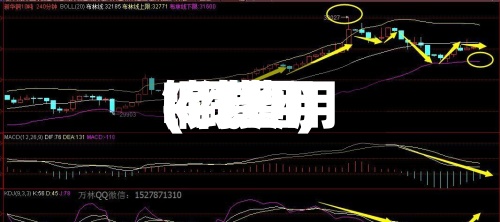 铜费用(铜费用k线图)-第3张图片