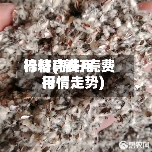 棉籽壳费用行情(棉籽壳费用行情走势)-第3张图片
