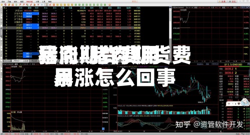 猪肉期货费用暴涨/猪肉期货费用暴涨怎么回事-第2张图片