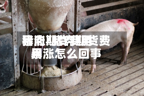 猪肉期货费用暴涨/猪肉期货费用暴涨怎么回事-第3张图片