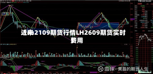 近来【ru2109期货行情LH2609期货实时费用】-第2张图片