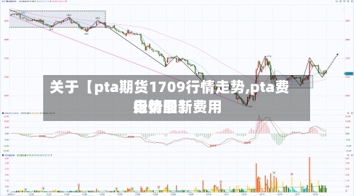 关于【pta期货1709行情走势,pta费用行情最新费用走势图】-第2张图片
