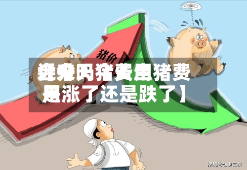 近来
【今天猪费用
会升吗今天生猪费用
是涨了还是跌了】-第3张图片