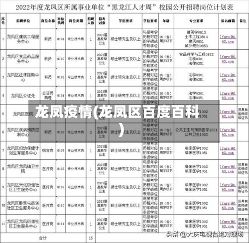 龙凤疫情(龙凤区百度百科)-第2张图片