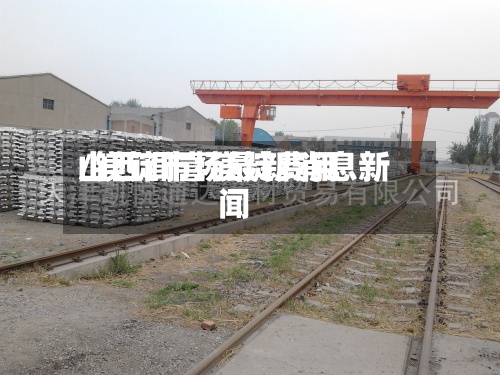 山西闻喜镁锭费用/镁锭市场最新消息新闻