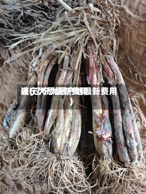 辽宁大葱最新费用表(辽宁大葱产地最新费用)