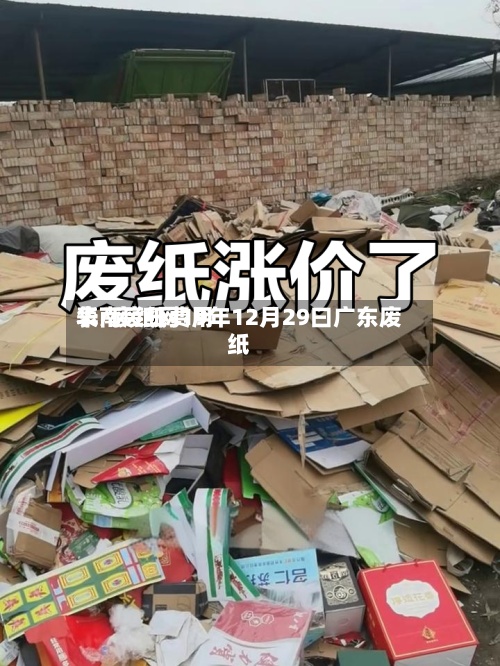 华南废纸费用表/废纸网19年12月29曰广东废纸-第2张图片