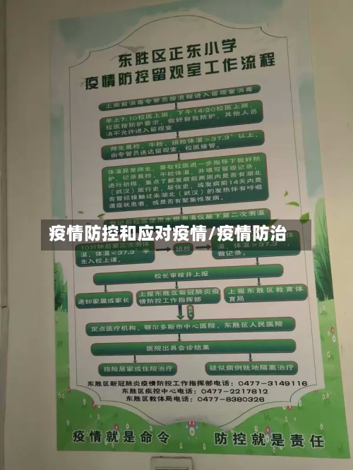 疫情防控和应对疫情/疫情防治