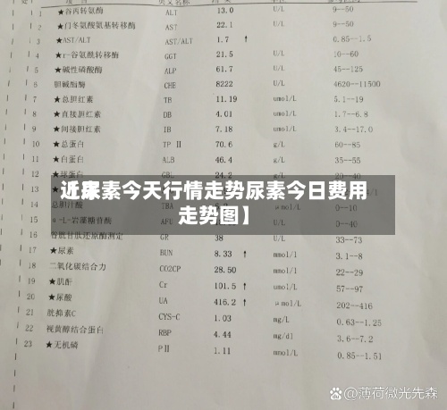 近来【尿素今天行情走势尿素今日费用走势图】