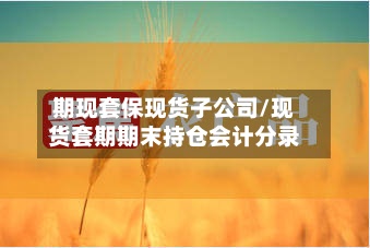 期现套保现货子公司/现货套期期末持仓会计分录