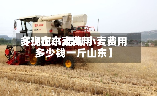 【现在小麦费用多少山东,最新小麦费用多少钱一斤山东】