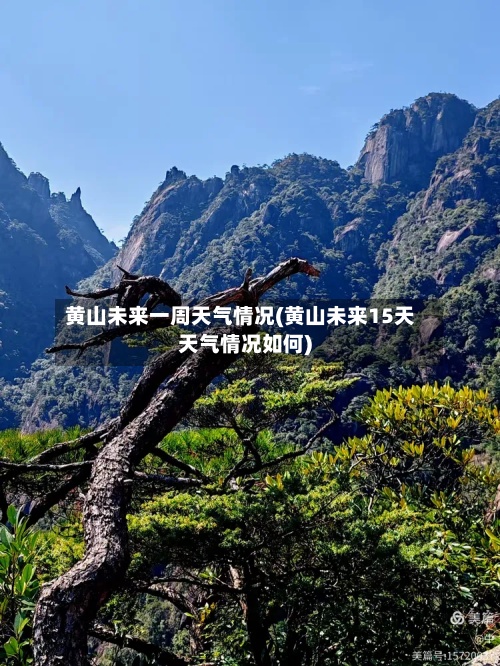 黄山未来一周天气情况(黄山未来15天天气情况如何)-第2张图片