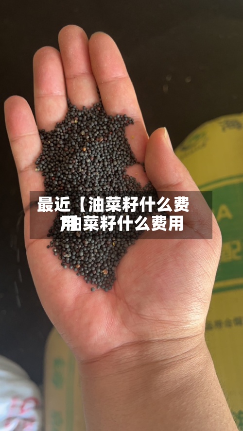 最近【油菜籽什么费用,油菜籽什么费用?】-第2张图片