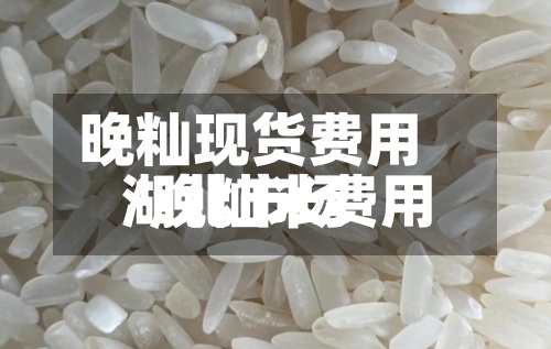 晚籼现货费用/晚籼米费用湖北市场
