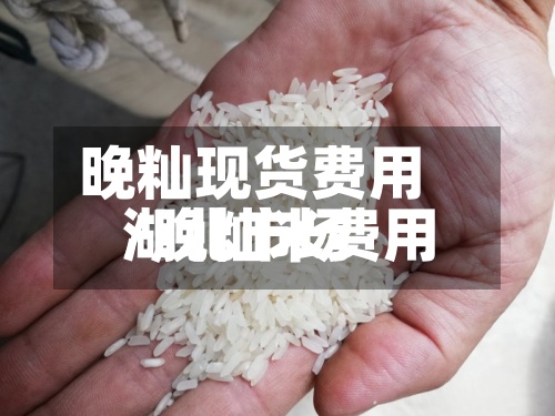 晚籼现货费用/晚籼米费用湖北市场-第3张图片