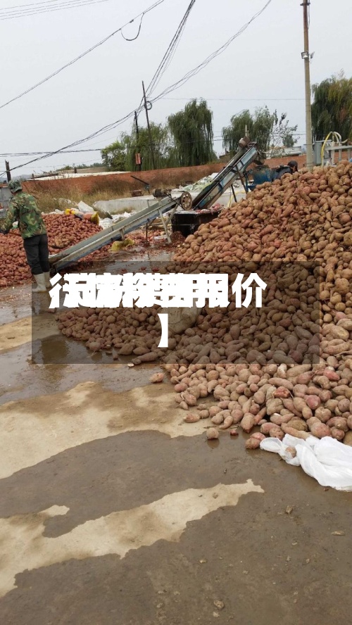 【淀粉费用,淀粉费用行情今日报价】-第2张图片