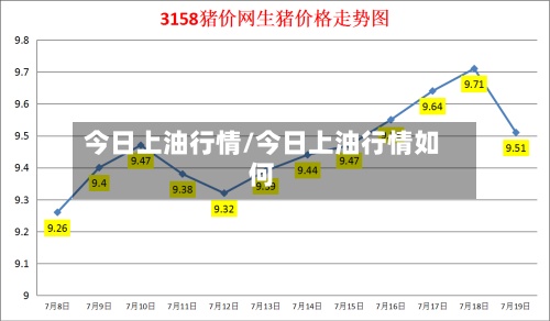 今日上油行情/今日上油行情如何-第2张图片