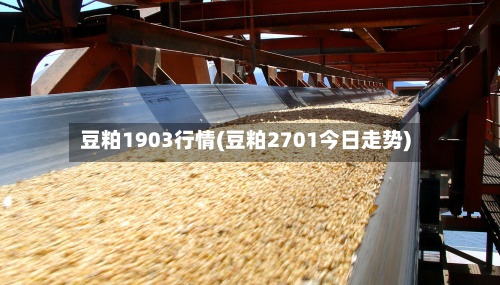 豆粕1903行情(豆粕2701今日走势)