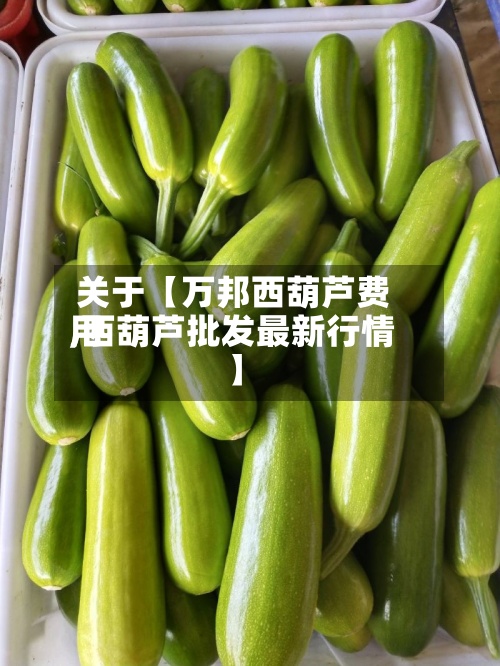 关于【万邦西葫芦费用,西葫芦批发最新行情】