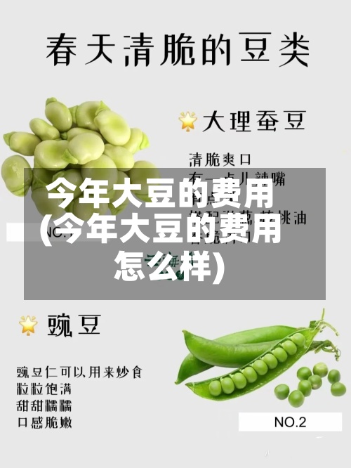 今年大豆的费用(今年大豆的费用怎么样)-第2张图片