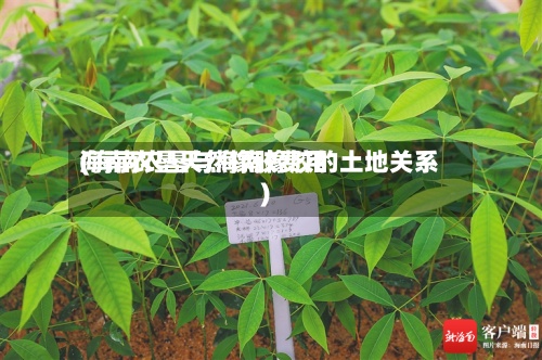 海南农垦天然橡胶费用(海南农垦与海南橡胶的土地关系)-第3张图片
