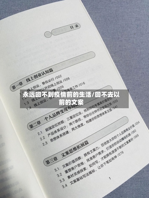 永远回不到疫情前的生活/回不去以前的文案