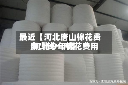 最近【河北唐山棉花费用,河北今年棉花费用多少钱一斤】