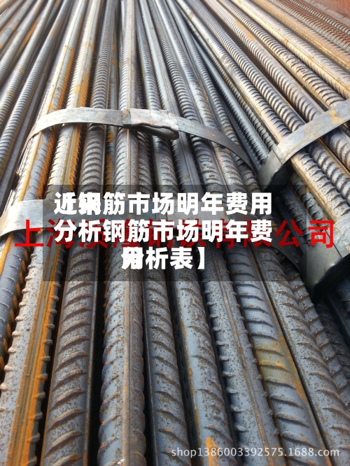 近来【钢筋市场明年费用分析钢筋市场明年费用分析表】-第3张图片